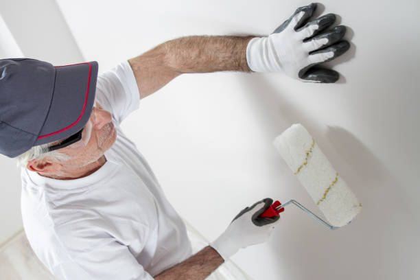 Professional Mold Removal in Fairborn, OH