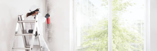 Best Mold Documentation for Insurance Claims  in Fairborn, OH