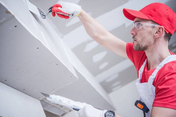 Best Basement Mold Removal  in Fairborn, OH